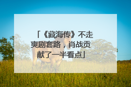 《藏海传》不走爽剧套路，肖战贡献了一半看点