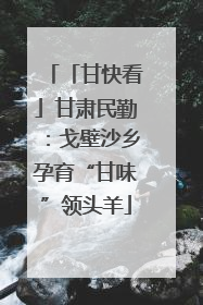 「甘快看」甘肃民勤：戈壁沙乡孕育“甘味”领头羊
