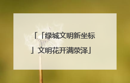 「绿城文明新坐标」文明花开满荥泽