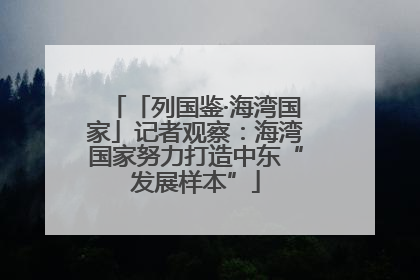 「列国鉴·海湾国家」记者观察：海湾国家努力打造中东“发展样本”