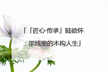 「匠心·传承」陆德怀：墨线里的木构人生