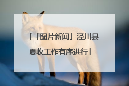 「图片新闻」泾川县夏收工作有序进行