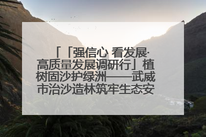 「强信心 看发展·高质量发展调研行」植树固沙护绿洲——武威市治沙造林筑牢生态安全屏障见闻