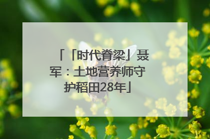 「时代脊梁」聂军：土地营养师守护稻田28年
