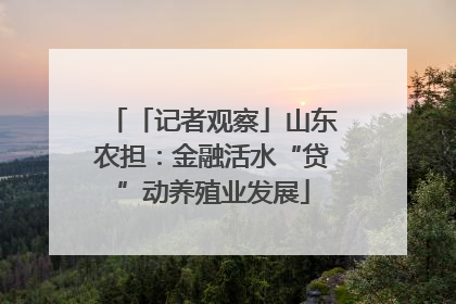 「记者观察」山东农担：金融活水“贷”动养殖业发展