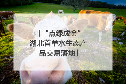“点绿成金” 湖北首单水生态产品交易落地