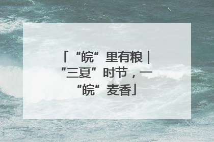 “皖”里有粮｜“三夏”时节，一“皖”麦香