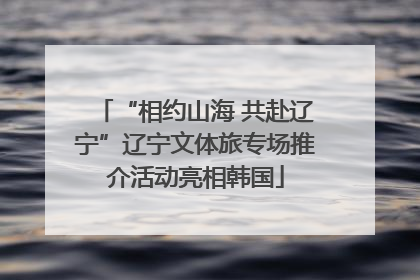 “相约山海 共赴辽宁”辽宁文体旅专场推介活动亮相韩国