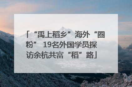 “禹上稻乡”海外“圈粉” 19名外国学员探访余杭共富“稻”路