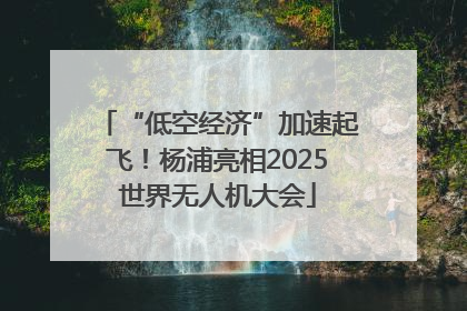 “低空经济”加速起飞！杨浦亮相2025世界无人机大会