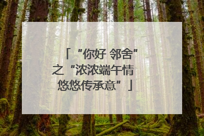 “你好 邻舍”之“浓浓端午情 悠悠传承意”