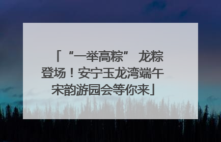 “一举高粽” 龙粽登场！安宁玉龙湾端午宋韵游园会等你来