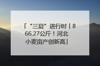 “三夏”进行时丨866.27公斤！河北小麦亩产创新高