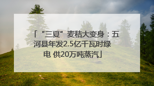 “三夏”麦秸大变身：五河县年发2.5亿千瓦时绿电 供20万吨蒸汽