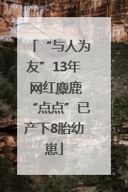 “与人为友”13年 网红麋鹿“点点”已产下8胎幼崽