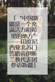 “中国新疆是一个充满活力和希望的地方”——印度尼西亚北苏门答腊省伊斯兰教代表团参访新疆
