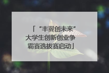 “丰翼创未来”大学生创新创业争霸赛选拔赛启动