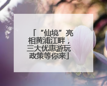“仙境”亮相黄浦江畔，三大优惠游玩政策等你来
