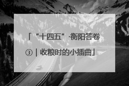 “十四五”·衡阳答卷③｜收粮时的小插曲