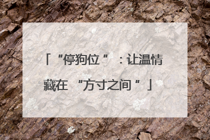 “停狗位 ”：让温情藏在 “方寸之间 ”