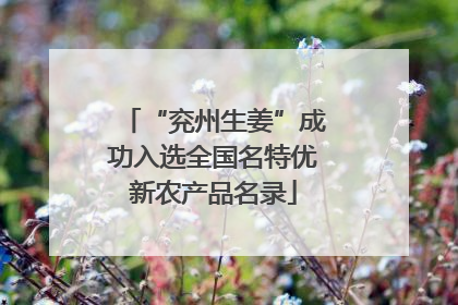 “兖州生姜”成功入选全国名特优新农产品名录