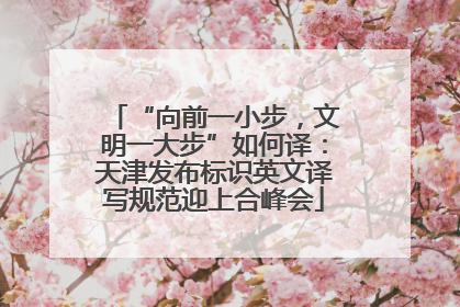 “向前一小步，文明一大步”如何译：天津发布标识英文译写规范迎上合峰会