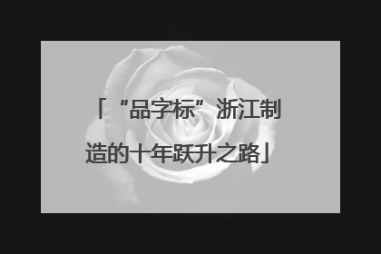 “品字标”浙江制造的十年跃升之路