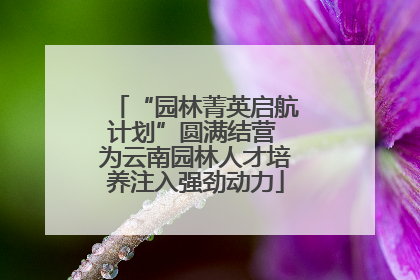 “园林菁英启航计划”圆满结营 为云南园林人才培养注入强劲动力