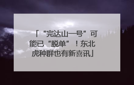 “完达山一号”可能已“脱单”！东北虎种群也有新喜讯