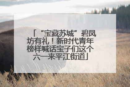 “宝藏苏城”碧凤坊有礼！新时代青年榜样喊话宝子们这个六一来平江街道