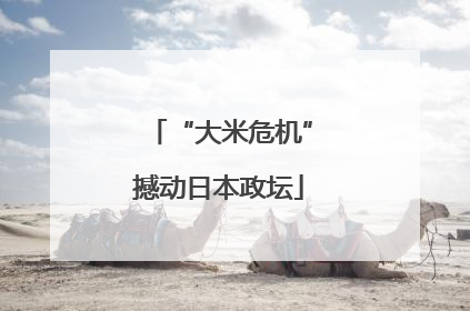 “大米危机”撼动日本政坛