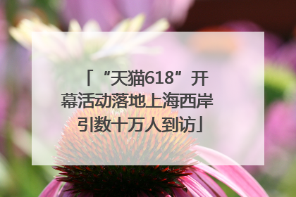 “天猫618”开幕活动落地上海西岸 引数十万人到访