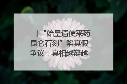“始皇遣使采药昆仑石刻”陷真假争议：真相越辩越明｜新京报专栏