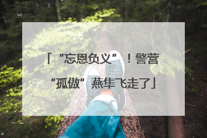 “忘恩负义”！警营“孤傲”燕隼飞走了