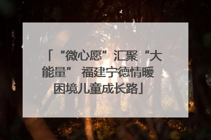 “微心愿”汇聚“大能量” 福建宁德情暖困境儿童成长路