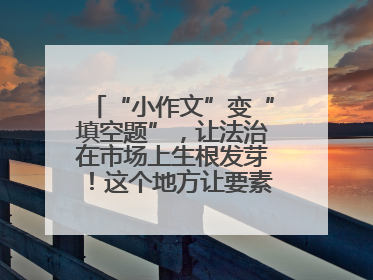 “小作文”变“填空题”，让法治在市场上生根发芽！这个地方让要素式文书入民心