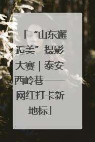“山东邂逅美”摄影大赛｜泰安西岭巷——网红打卡新地标