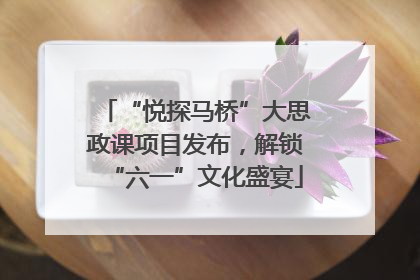 “悦探马桥”大思政课项目发布，解锁“六一”文化盛宴