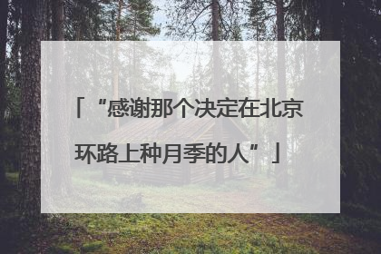 “感谢那个决定在北京环路上种月季的人”
