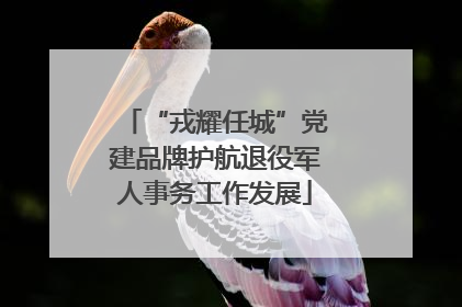 “戎耀任城”党建品牌护航退役军人事务工作发展