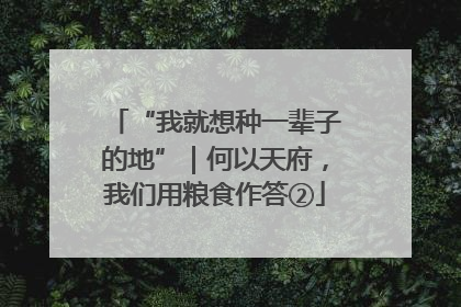 “我就想种一辈子的地”｜何以天府，我们用粮食作答②