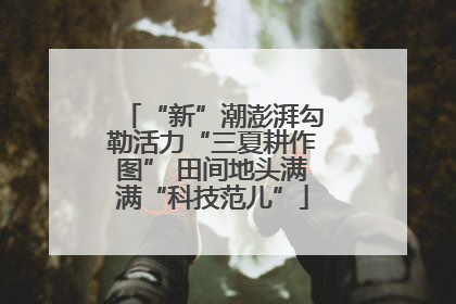 “新”潮澎湃勾勒活力“三夏耕作图” 田间地头满满“科技范儿”