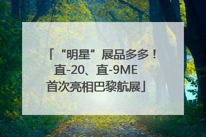 “明星”展品多多！直-20、直-9ME首次亮相巴黎航展