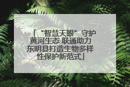 “智慧天眼”守护黄河生态 联通助力东明县打造生物多样性保护新范式