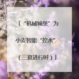 “机械城堡”为小麦智能“控水”（三夏进行时）