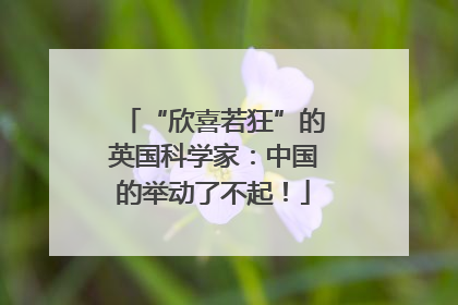 “欣喜若狂”的英国科学家：中国的举动了不起！