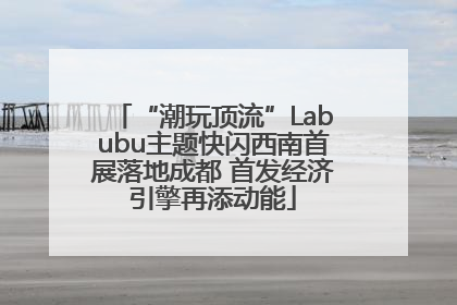 “潮玩顶流”Labubu主题快闪西南首展落地成都 首发经济引擎再添动能
