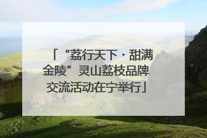 “荔行天下・甜满金陵”灵山荔枝品牌交流活动在宁举行