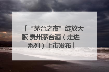 “茅台之夜”绽放大阪 贵州茅台酒（走进系列）上市发布