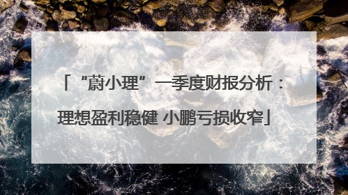 “蔚小理”一季度财报分析：理想盈利稳健 小鹏亏损收窄
